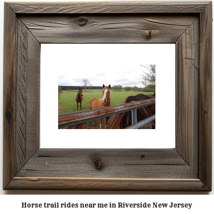 horse trail rides near me in Riverside, New Jersey